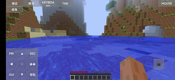 minecraftjava