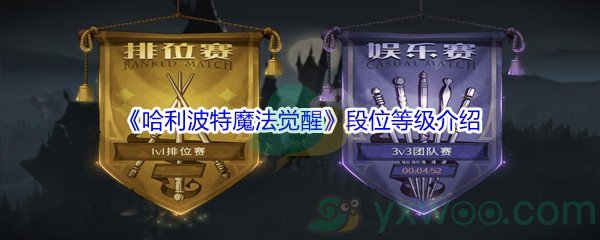 哈利波特魔法觉醒段位等级介绍