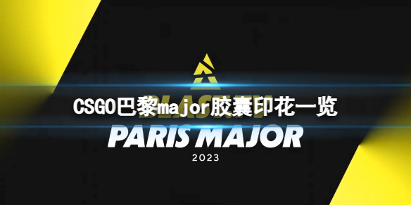 CSGO巴黎major胶囊印花好看吗巴黎major胶囊印花一览