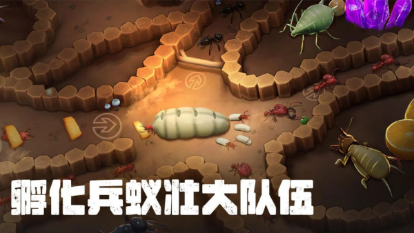 蚂蚁大冒险图3