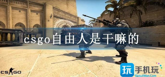 csgo自由人是干嘛的