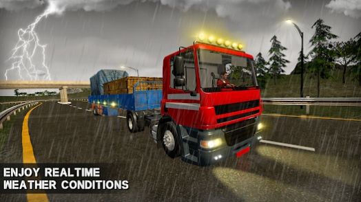 deurotransporttruckdriver3d图3