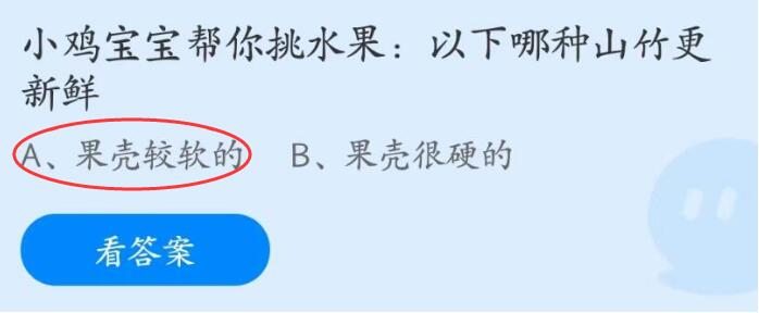 小鸡宝宝帮你挑水果：以下哪种山竹更新鲜