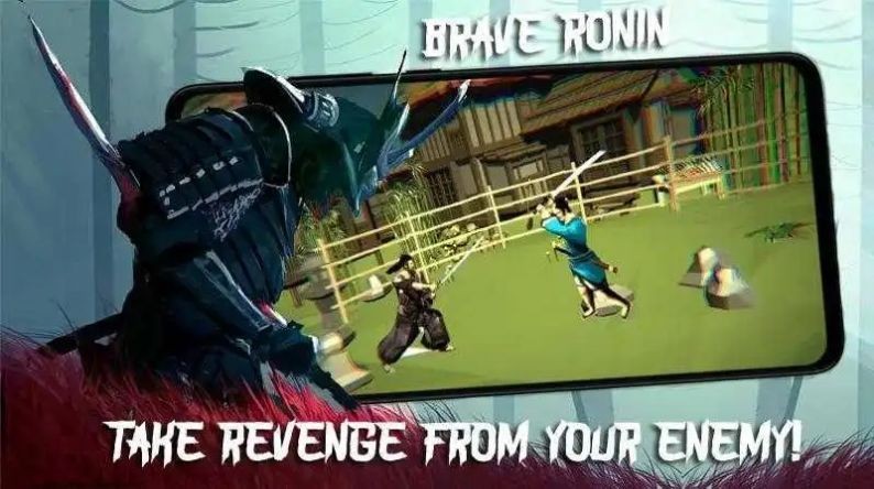 勇者浪人终极武士图2
