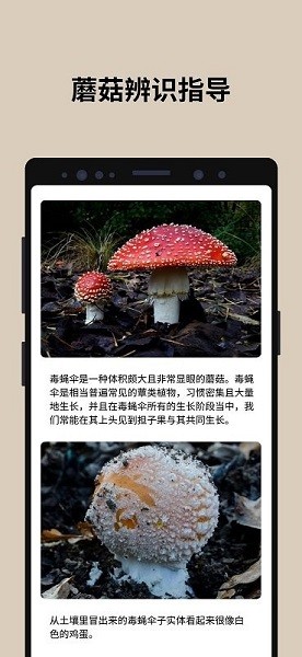 蘑菇识别扫一扫截图1