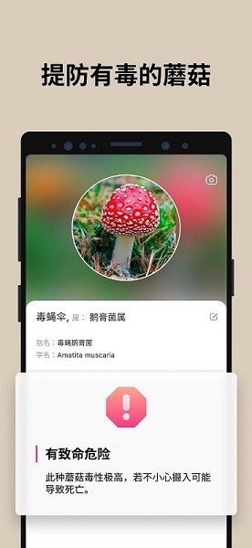 蘑菇识别扫一扫截图3