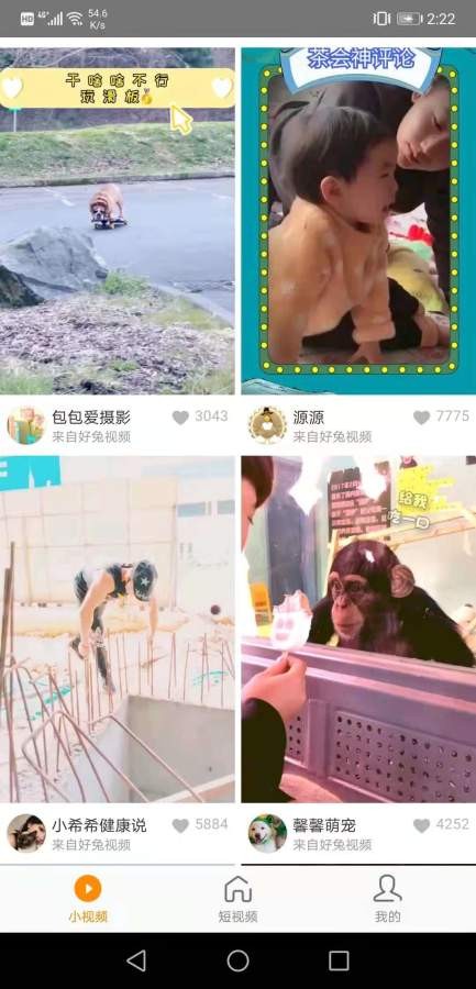 红小狗视频图5