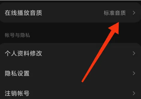 汽水音乐在哪对在线播放音质进行更改