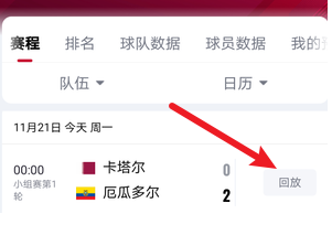 世界杯回放在哪个APP看卡塔尔世界杯回放免费观看