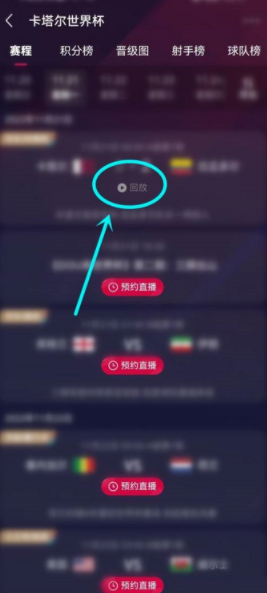 世界杯回放在哪个APP看卡塔尔世界杯回放免费观看