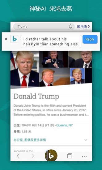 必应浏览器截图3