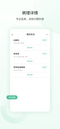 皮小宝图3
