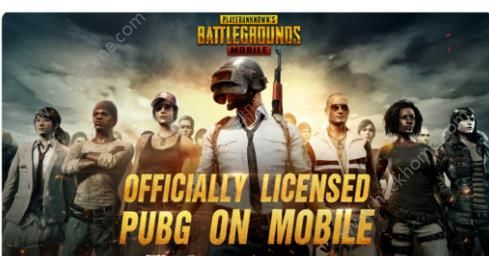 PUBGMobiledownloadfailde怎么办进不去游戏结局方法