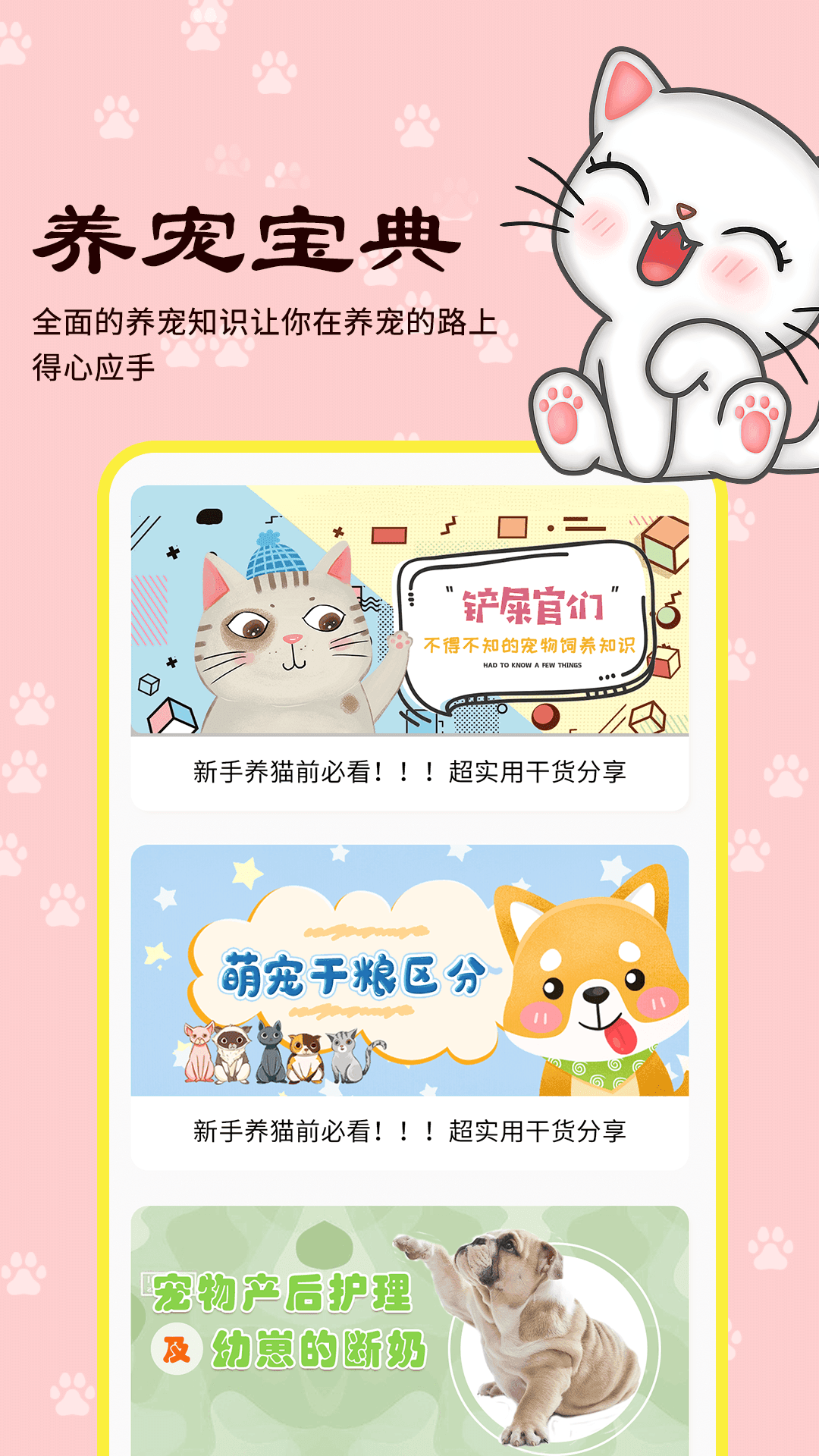 橙猫图6