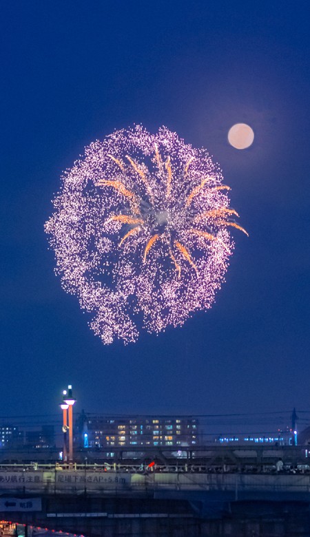 2023氛围感的烟花新年壁纸高清全面屏漫天的花火像星辰守护着大海