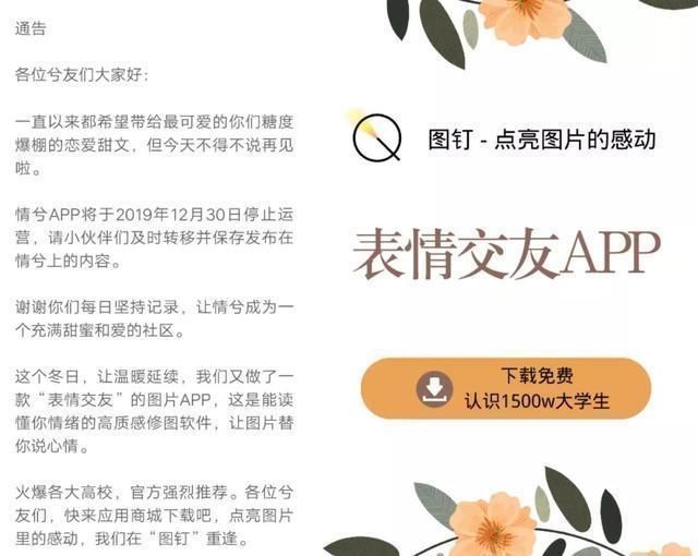 阿里图钉隐秘上线，主打图片社交