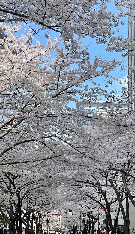 壁纸高清全屏高级感风景你闪闪发亮的同时也要平平安安