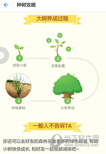 支付宝蚂蚁森林怎么开通支付宝APP蚂蚁森林开通教程