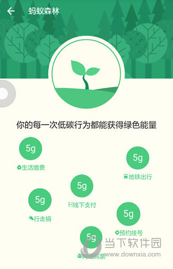 支付宝蚂蚁森林怎么开通支付宝APP蚂蚁森林开通教程