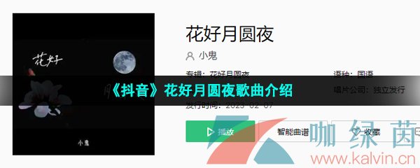 抖音花好月圆夜歌曲介绍