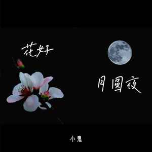 抖音花好月圆夜歌曲介绍