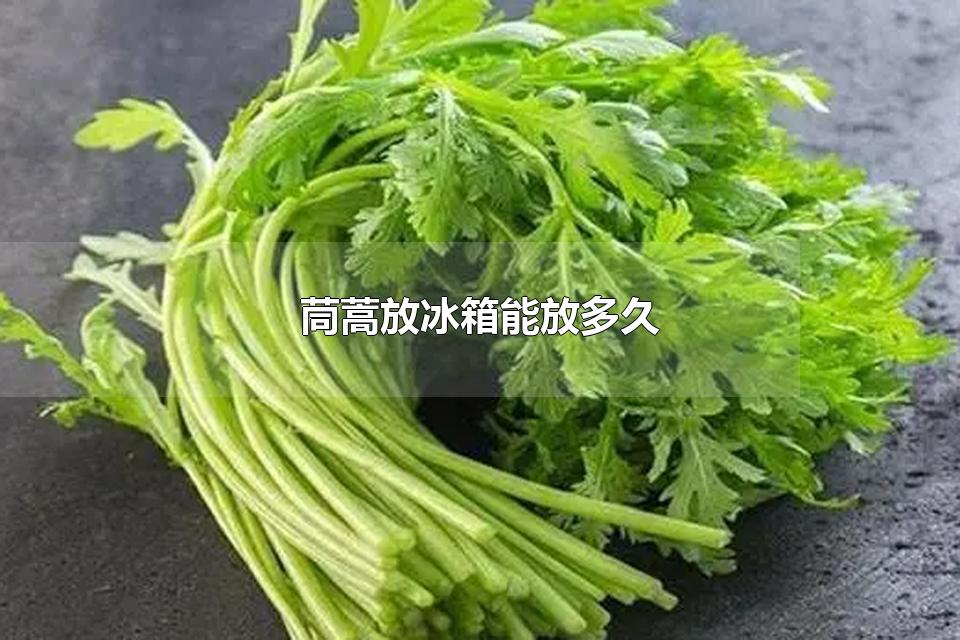 茼蒿放冰箱能放多久茼蒿怎么保存时间长