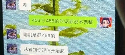 456什么意思抖音456含义介绍