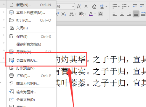 WPS2019文字页面设置的方法