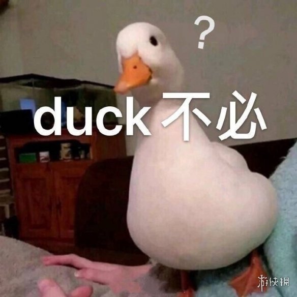 duck不必是什么意思duck不必表情包分享