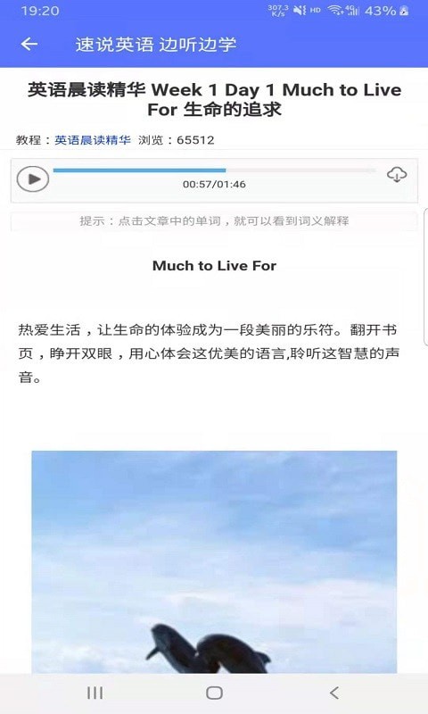 速说英语官方版第2张截图