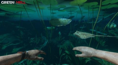 绿色地狱联机版