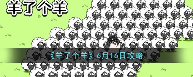 羊了个羊6月16日攻略