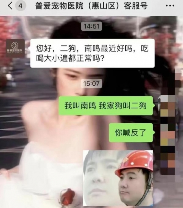 收到的女生都哭了保真囧图好家伙还是猛犸象