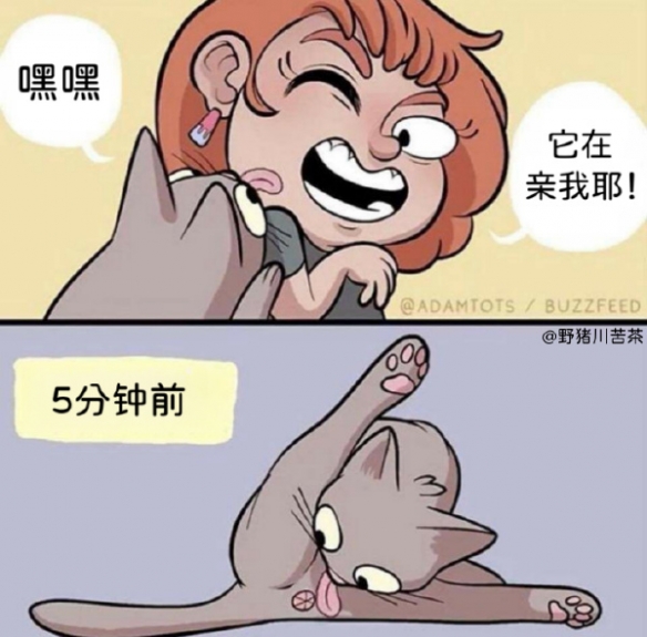 收到的女生都哭了保真囧图好家伙还是猛犸象