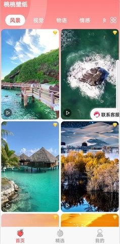 桃桃乐园图3