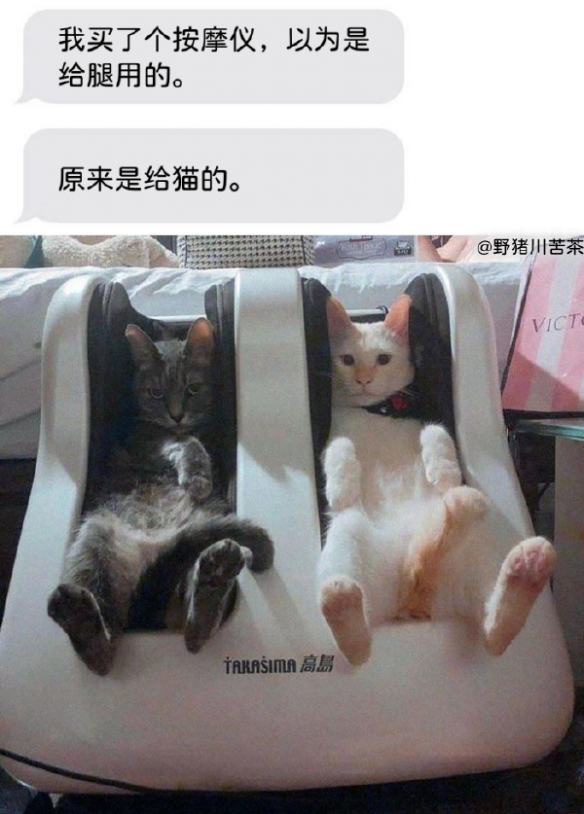 收到的女生都哭了保真囧图好家伙还是猛犸象