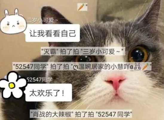 微信拍了拍怎么修改文字微信拍一拍可爱又搞笑的后缀句子大全