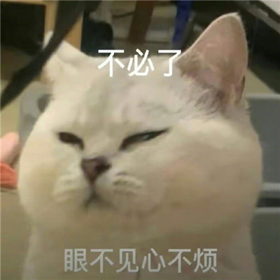 猫咪表情最新版合集猫猫拿捏我的精神状态