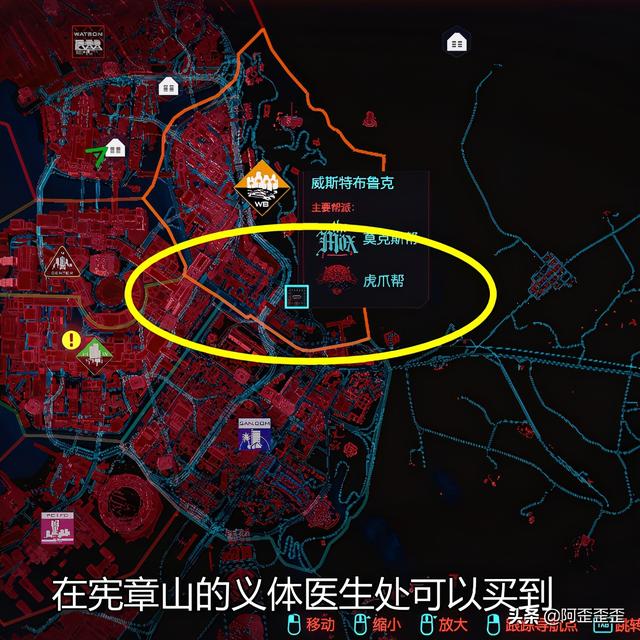 赛博朋克2077不朽表皮系统，攻略赛博朋克2077，绝对无敌