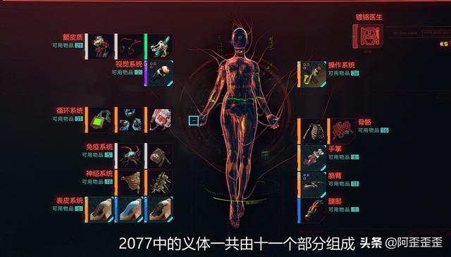 赛博朋克2077不朽表皮系统，攻略赛博朋克2077，绝对无敌