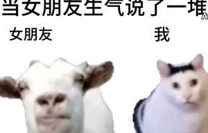 抖音huh猫和山羊表情包分享