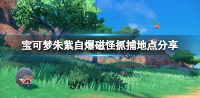 宝可梦朱紫自爆磁怪去哪抓自爆磁怪抓捕地点分享