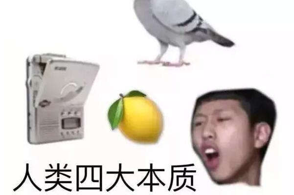 高情商和低情商是什么梗恶搞教学视频出自抖音