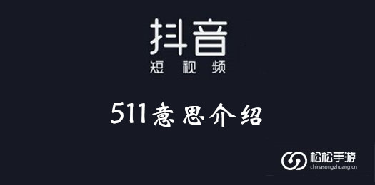 抖音511意思介绍