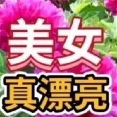 斗图表情沙雕很搞笑天干物燥小心我闹表情合集