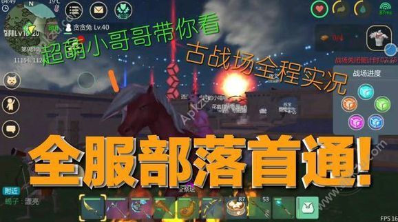 创造与魔法怎么赚钱快速赚钱方法详解