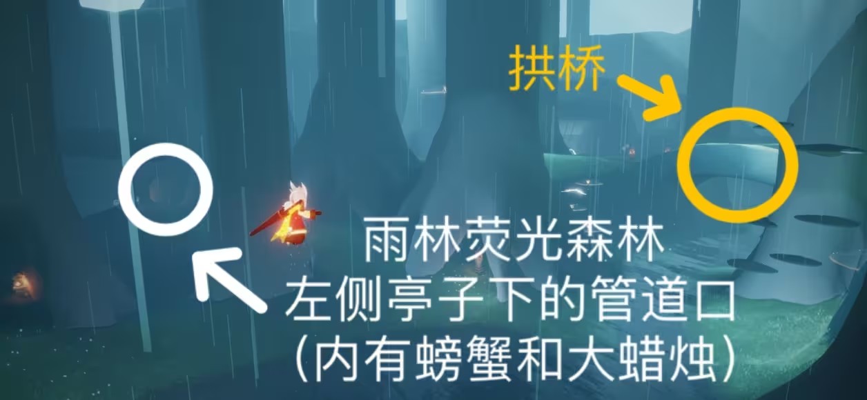 光遇11.5任务202311.5光遇每日任务季节蜡烛位置攻略