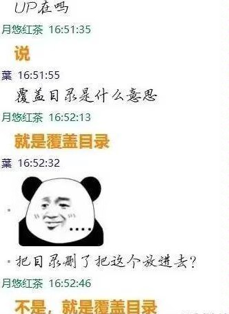 这不是高达是擎天柱囧图小孩子才做选择大人直接