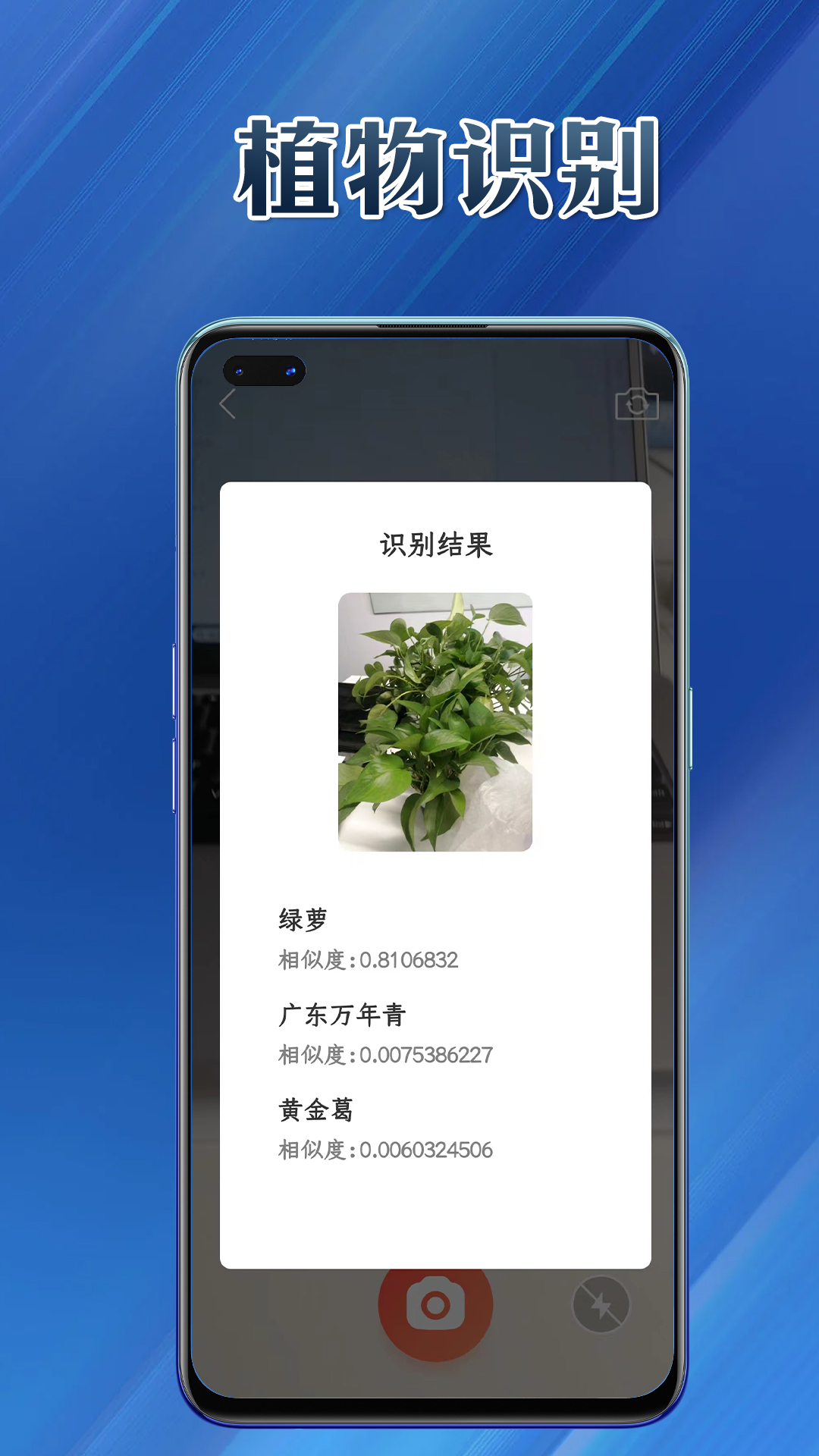 提效大师工具图5