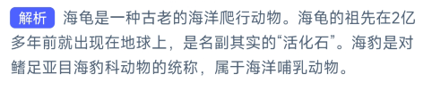 神奇海洋11月19日答案最新版